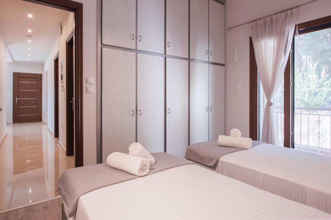 Luxury Moi Apartment In Bafra Village Ιωάννινα Εξωτερικό φωτογραφία